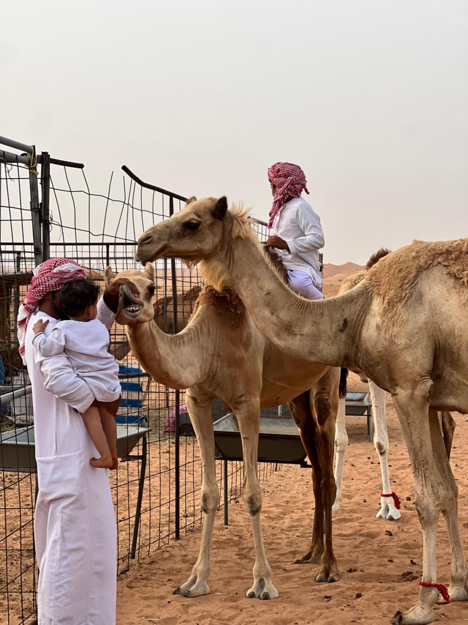 Private Bedouin Tent -Odpc Shāhiq Exterior foto