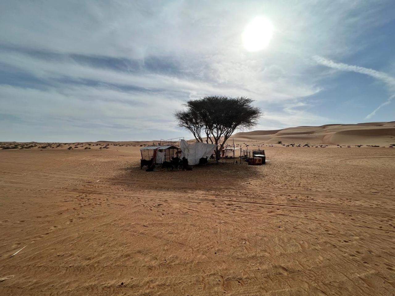 Private Bedouin Tent -Odpc Shāhiq Exterior foto